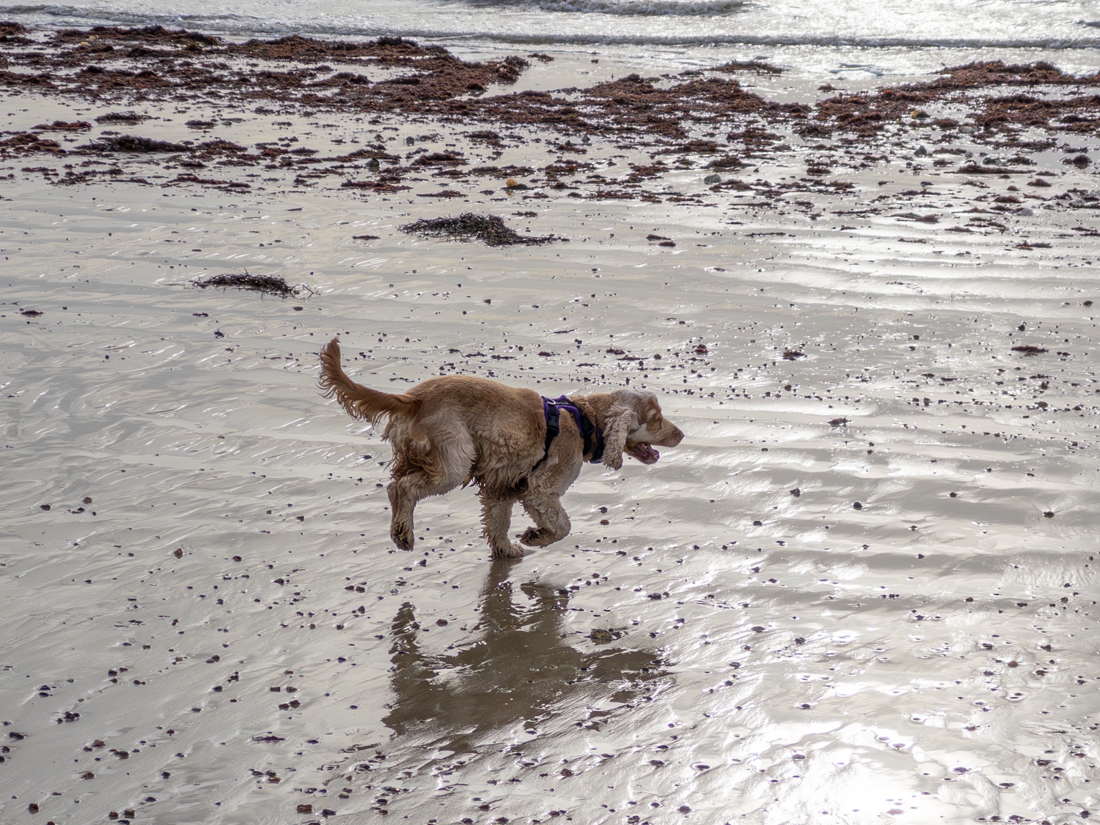 Photography by Chris Allington